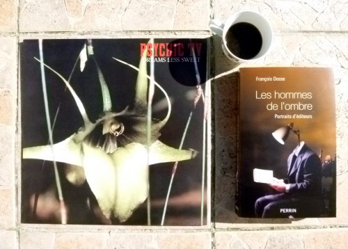 François Dosse, psychic tv, giono, gracq, velvet underground, ombre, orchids